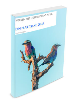 Werken met Lightroom Classic (2019)